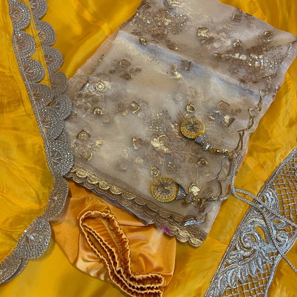 Punjabi Designer suits - Picture 2 of 3